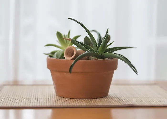 Golf Апартаменты *